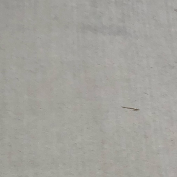 Meet your Posher, Skylar - Picture 1 of 1